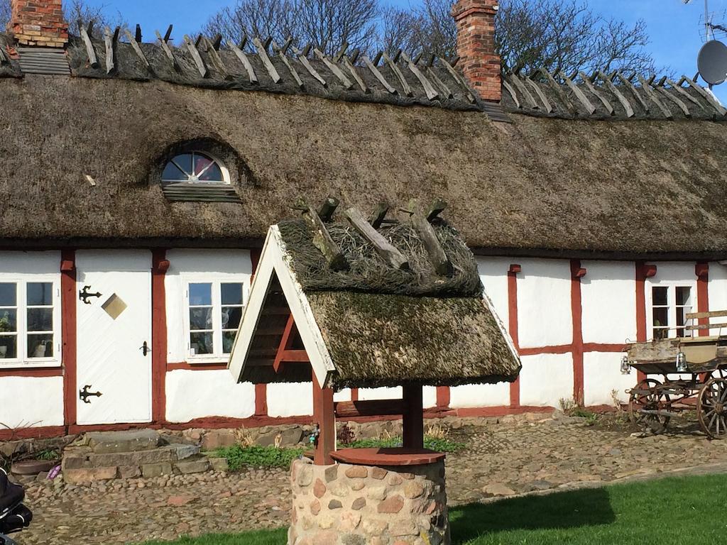 Arilds Vingård Bed and Breakfast Exteriör bild